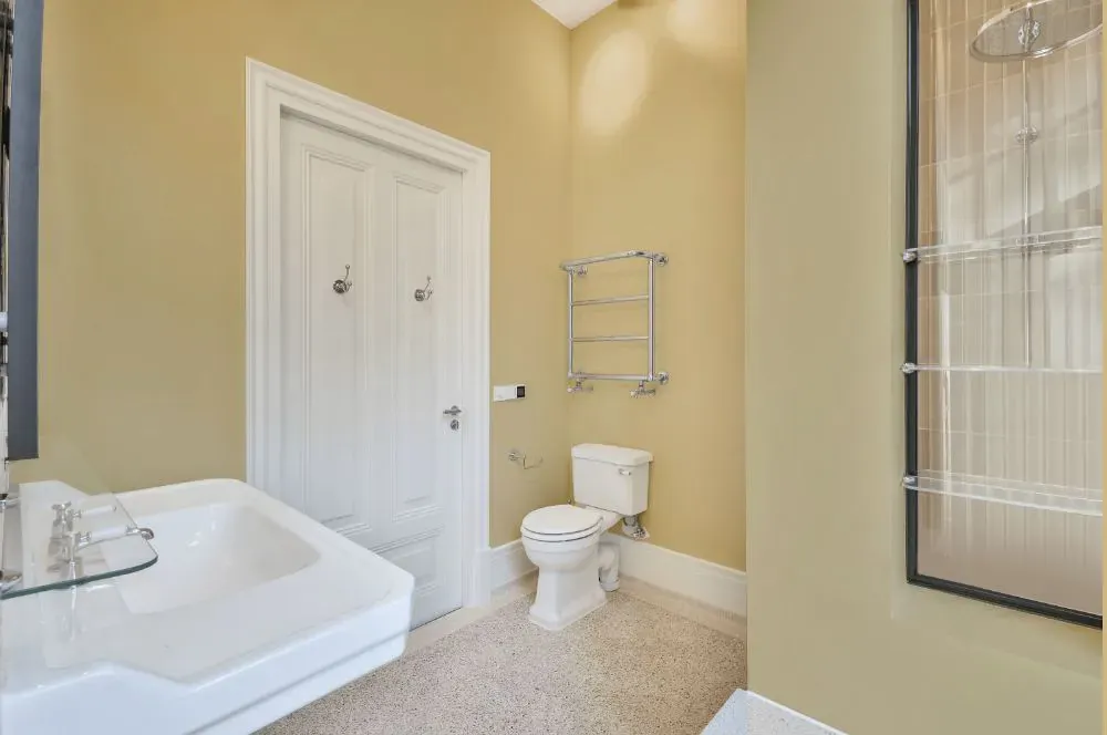 Sherwin Williams Ancestral Gold bathroom