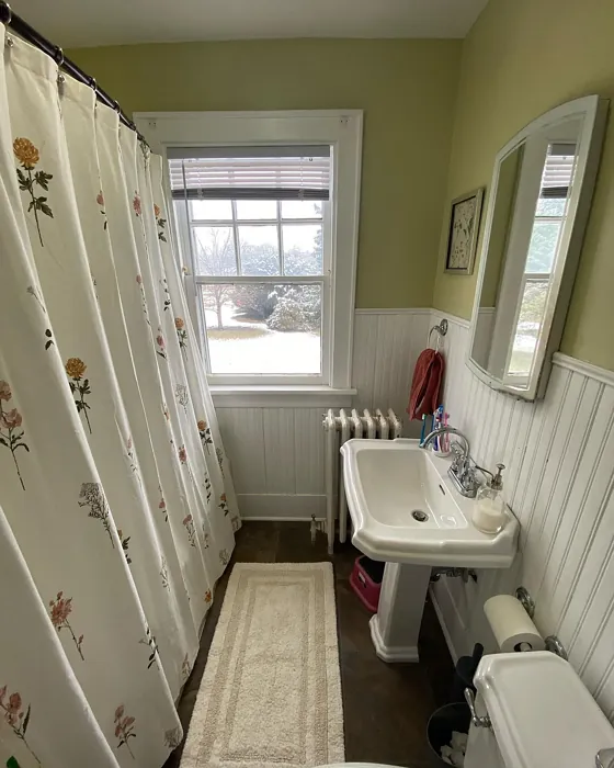 SW Ancestral Gold bathroom paint