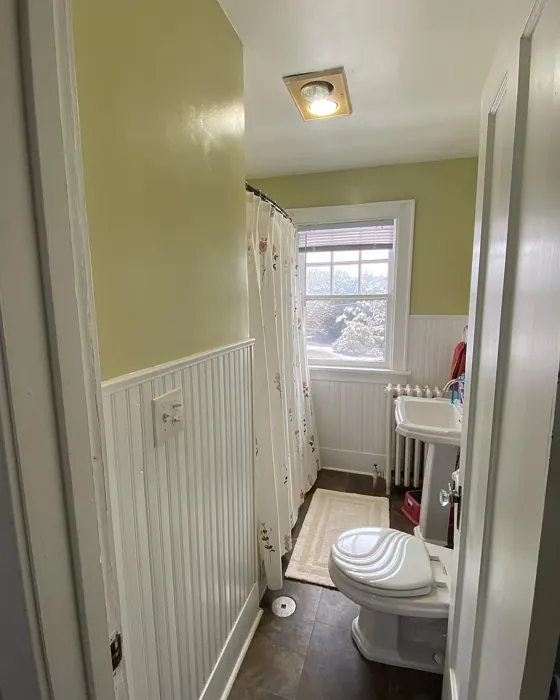 Sherwin Williams Ancestral Gold bathroom paint