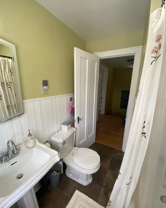 SW Ancestral Gold bathroom color