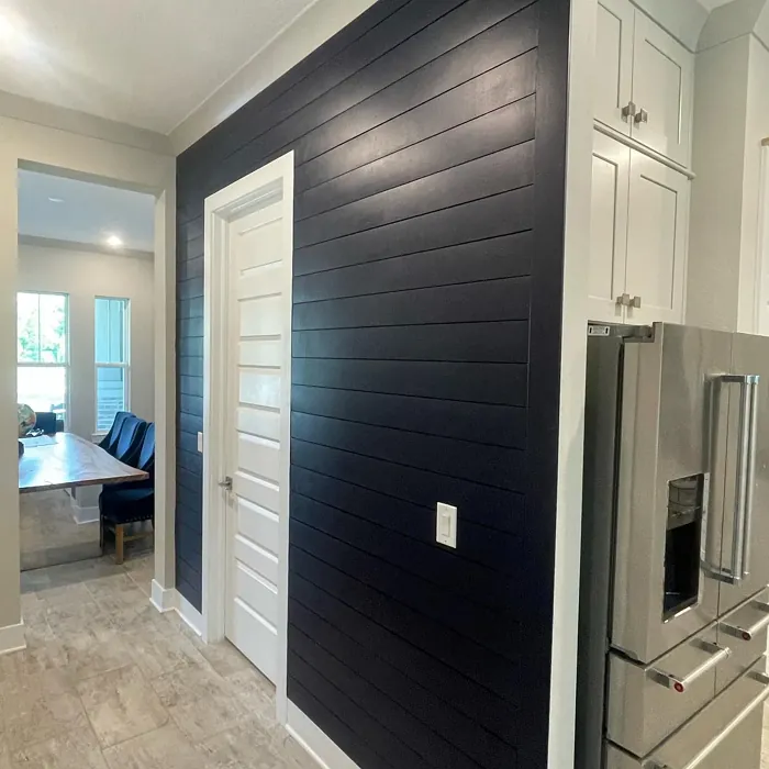 SW 9179 accent wall color