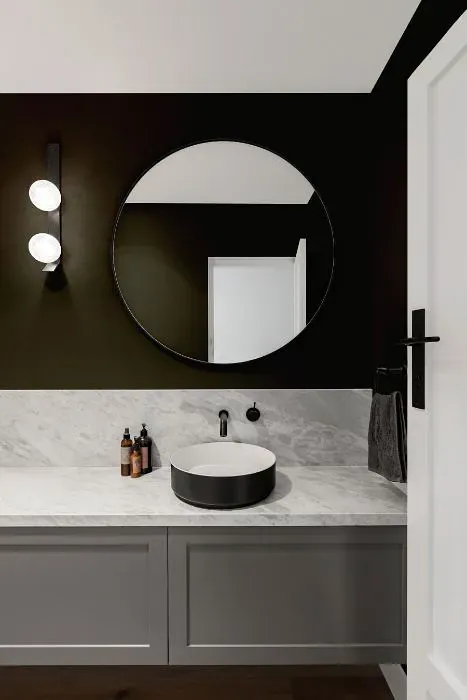 Sherwin Williams Andiron minimalist bathroom