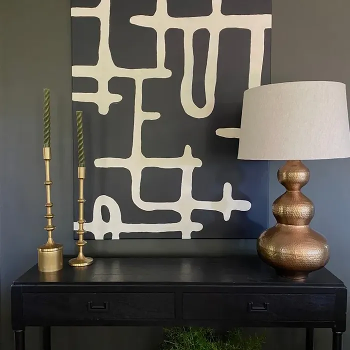 SW Andiron wall paint color