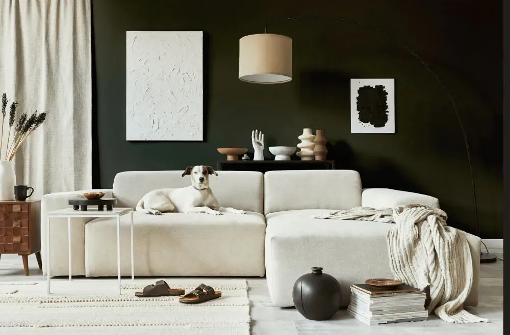 Sherwin Williams Andiron cozy living room