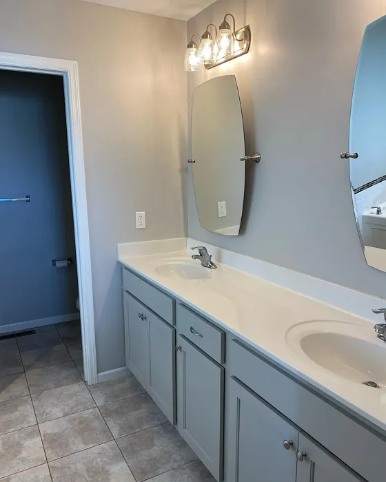 Sherwin Williams Anew Gray bathroom color review