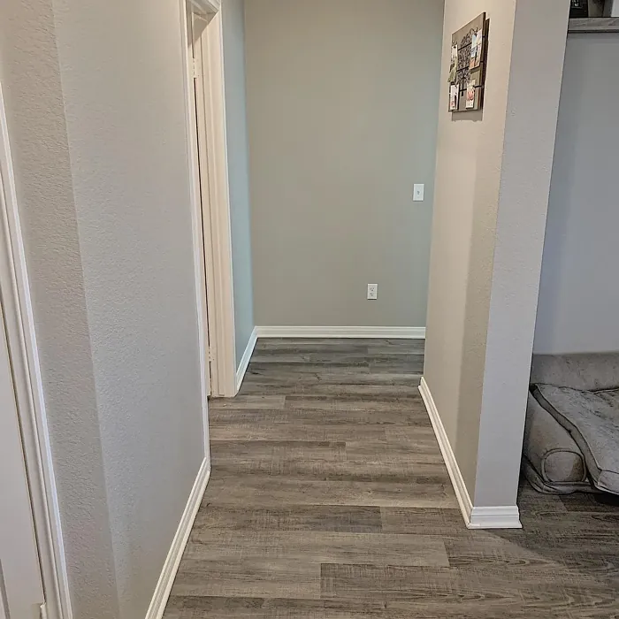 Sherwin Williams Anew Gray hallway color
