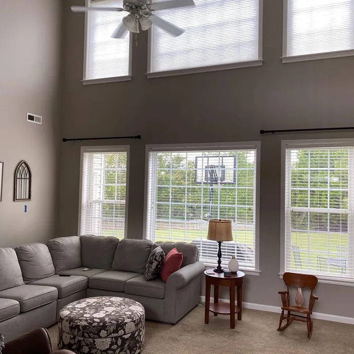 Sherwin Williams Anew Gray Living Room