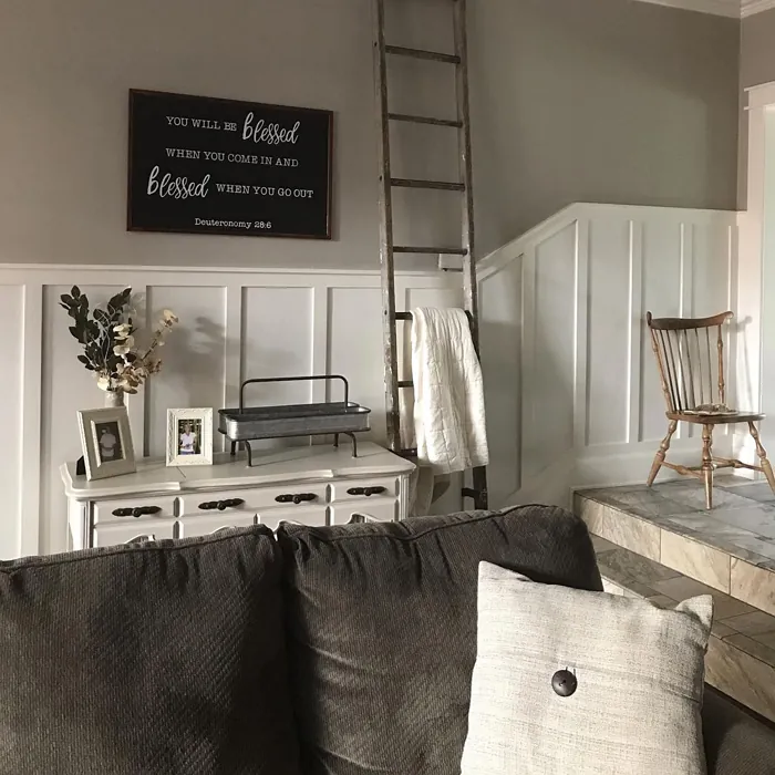 Anew Gray Living Room