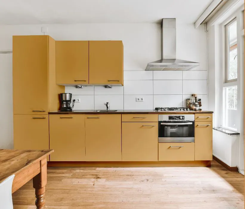Sherwin Williams Anjou Pear kitchen cabinets