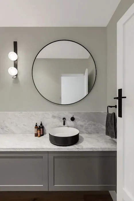 Sherwin Williams Antimony minimalist bathroom