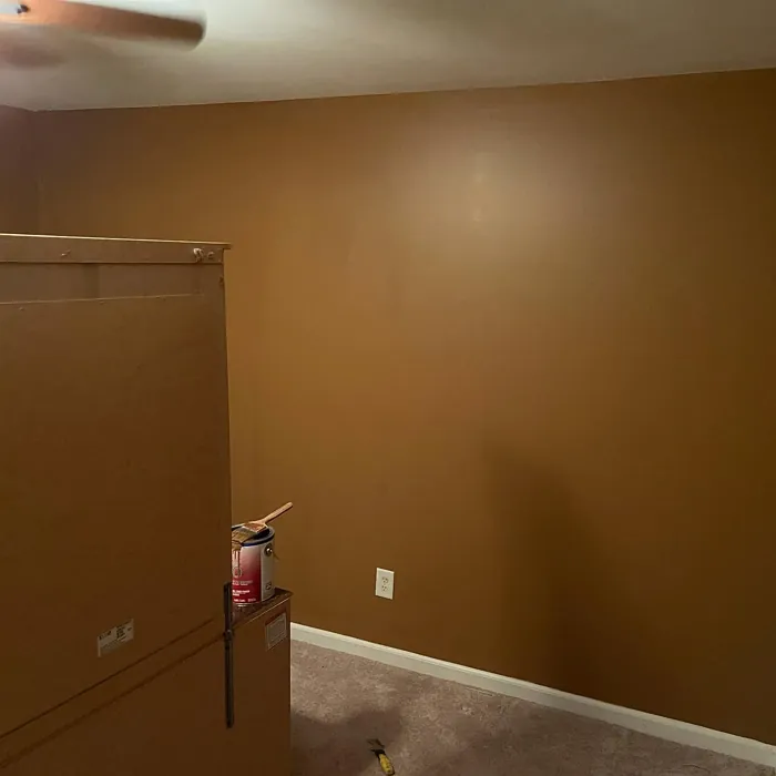 SW Antiquarian Brown accent wall 