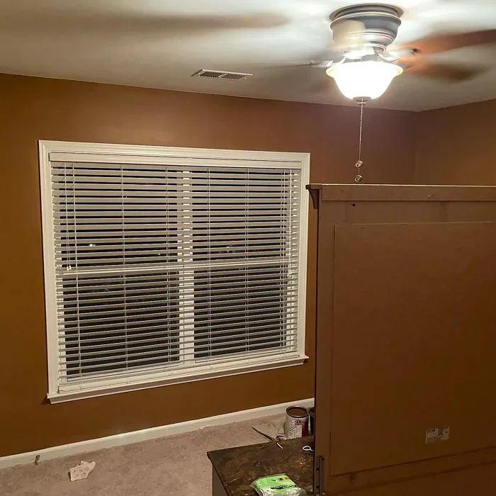 SW Antiquarian Brown review 