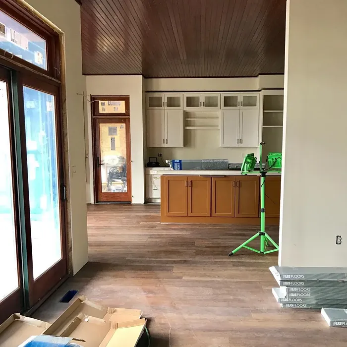 SW Antiquarian Brown kitchen cabinets 