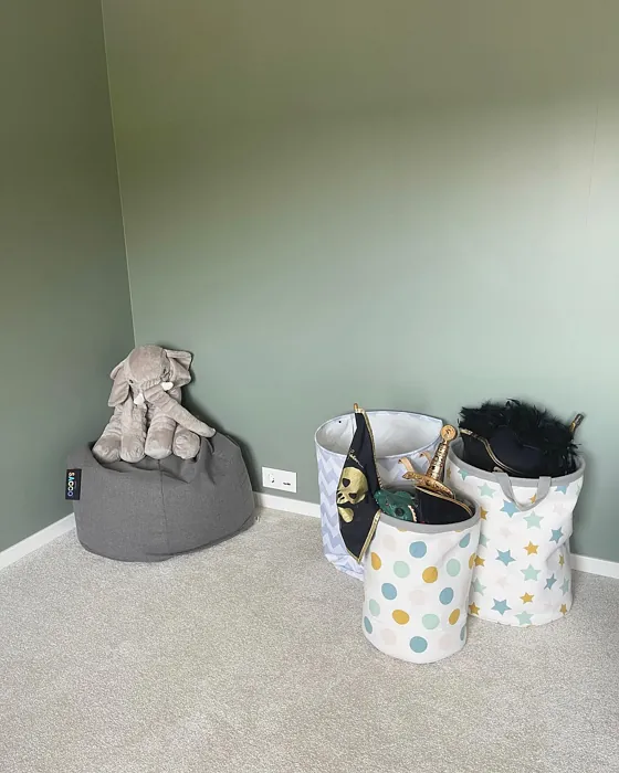 Antique Green kids' room photo