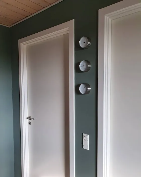 Jotun Antique Green hallway paint