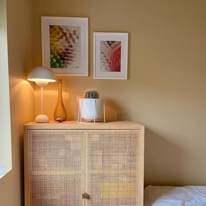 Jotun Antique Yellow bedroom color review