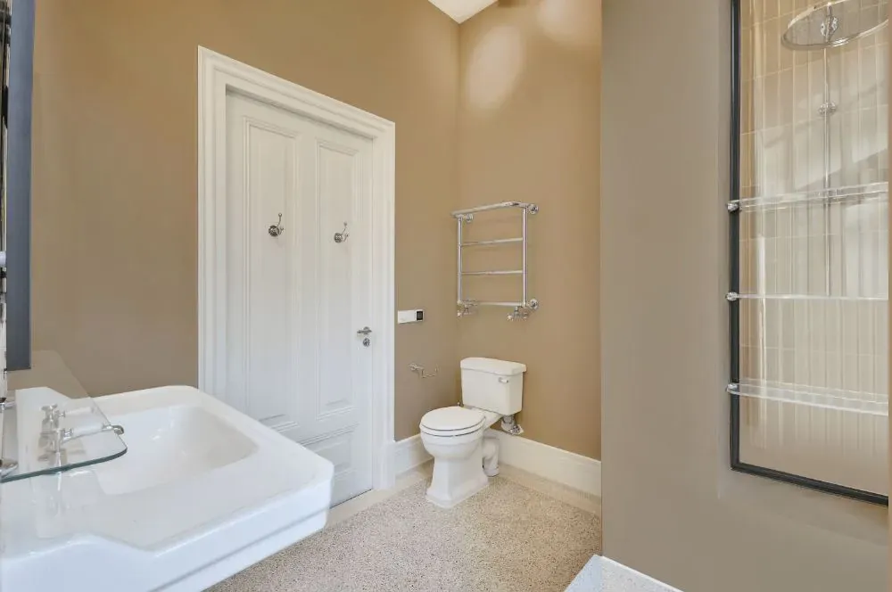 Sherwin Williams Antler Velvet bathroom