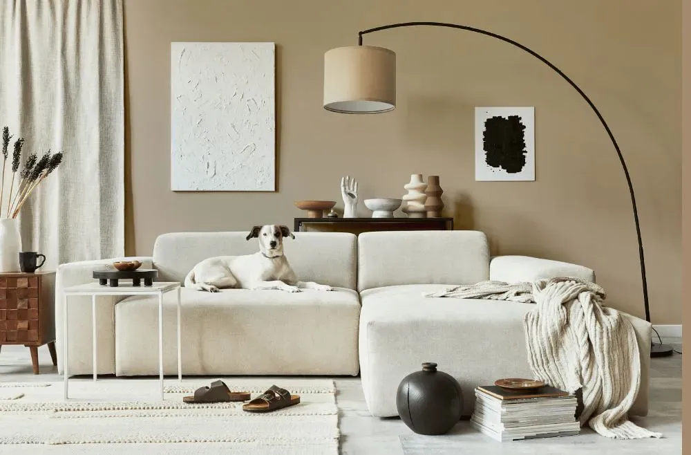 Sherwin Williams Antler Velvet cozy living room