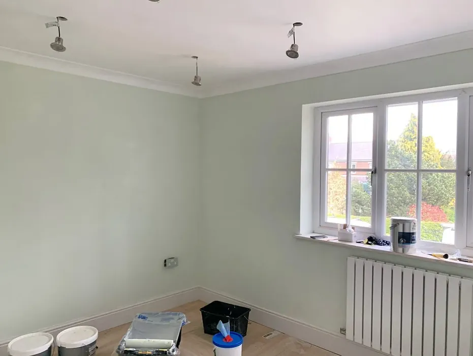 Dulux Apple White wall paint color