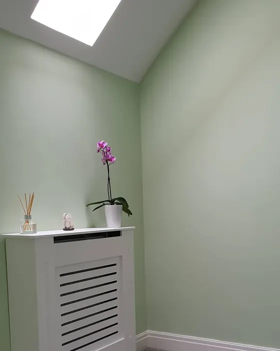 Apple White hallway color review