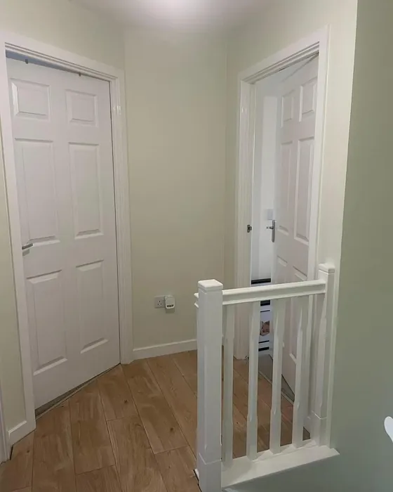 Dulux Apple White hallway color