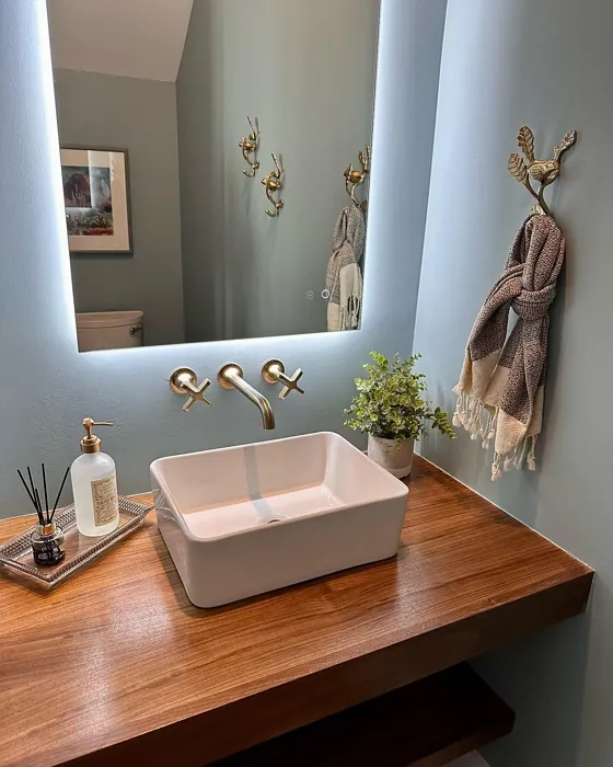 SW Aqua-Sphere bathroom color