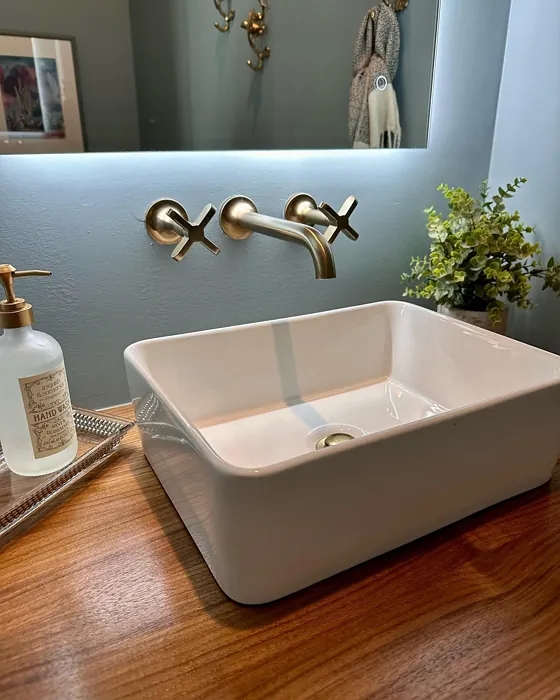 Sherwin Williams Aqua-Sphere bathroom color review