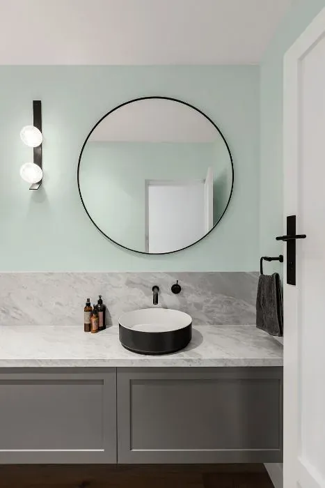 Sherwin Williams Aquacade minimalist bathroom