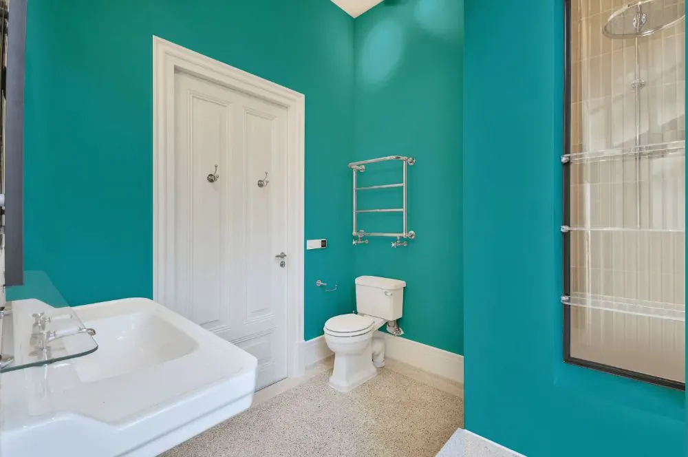 Sherwin Williams Aquarium bathroom