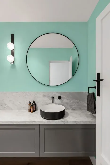 Sherwin Williams Aquatint minimalist bathroom