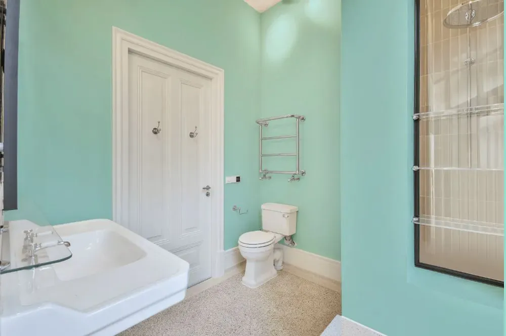 Sherwin Williams Aquatint bathroom