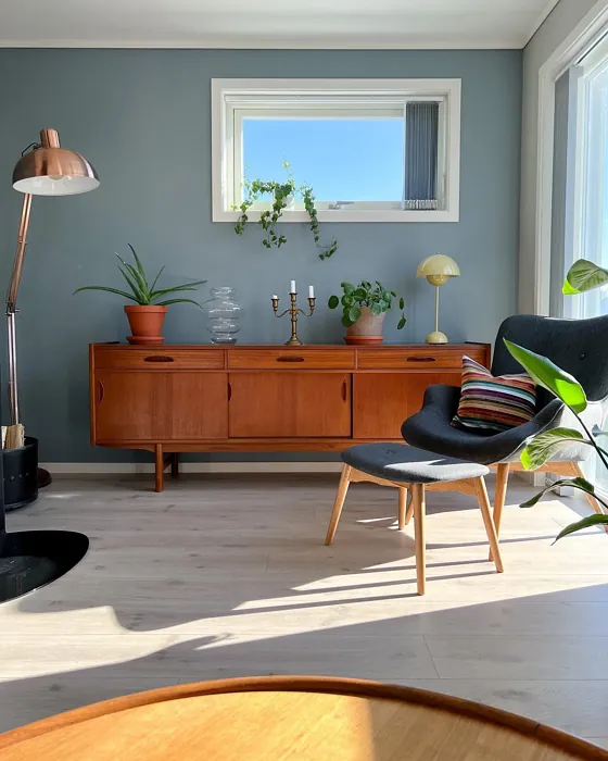 Arctic Grey living room color accent wall