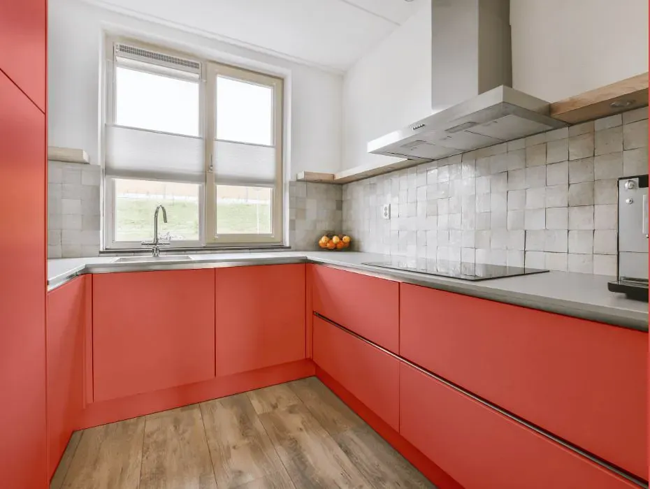Sherwin Williams Ardent Coral small kitchen cabinets