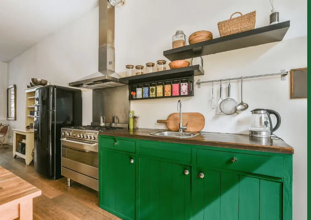 Sherwin Williams Argyle kitchen cabinets