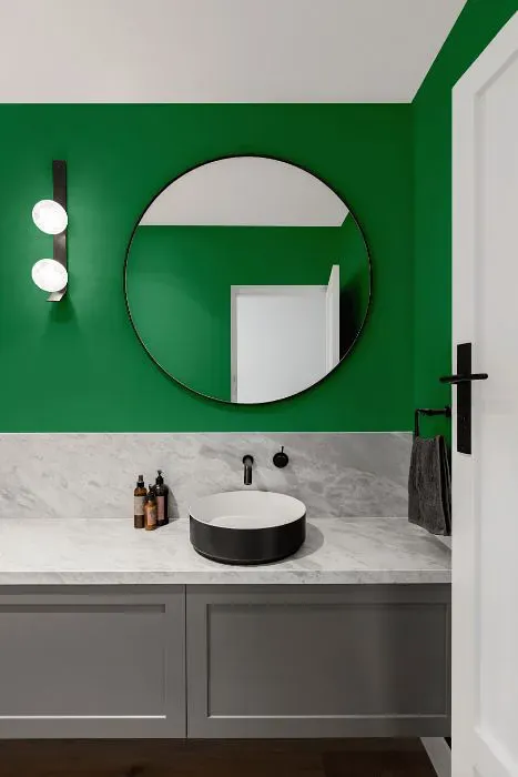 Sherwin Williams Argyle minimalist bathroom