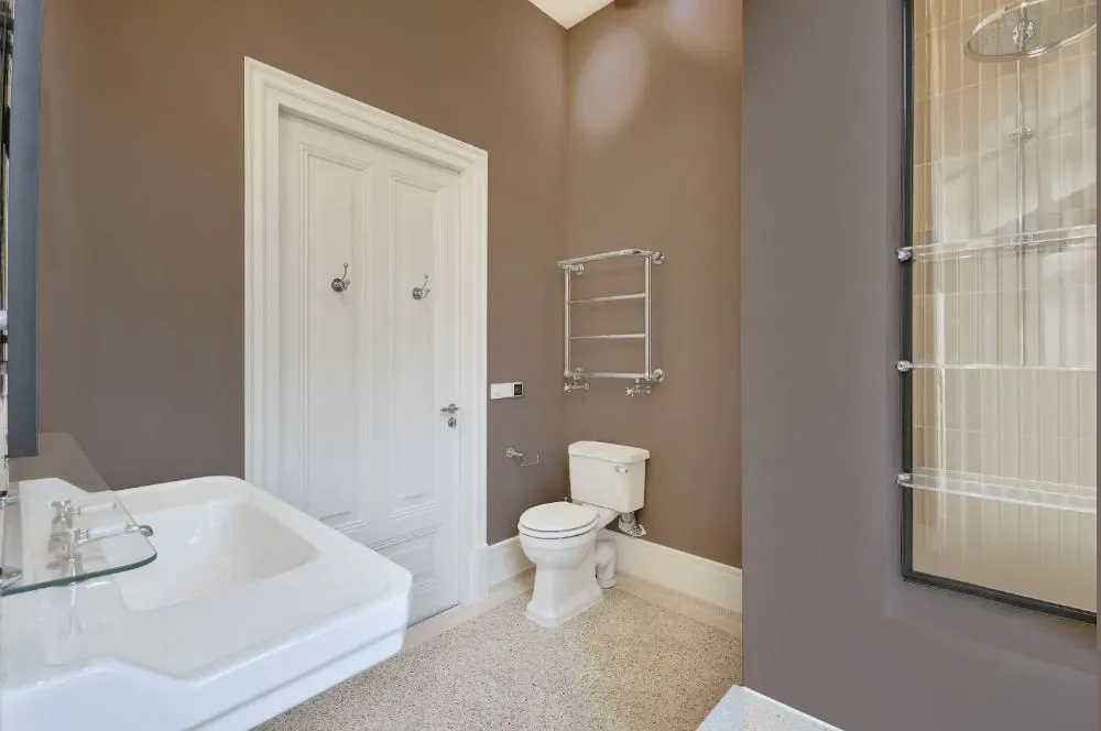 Sherwin Williams Armadillo bathroom