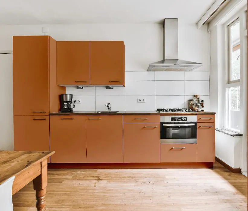 Sherwin Williams Armagnac kitchen cabinets