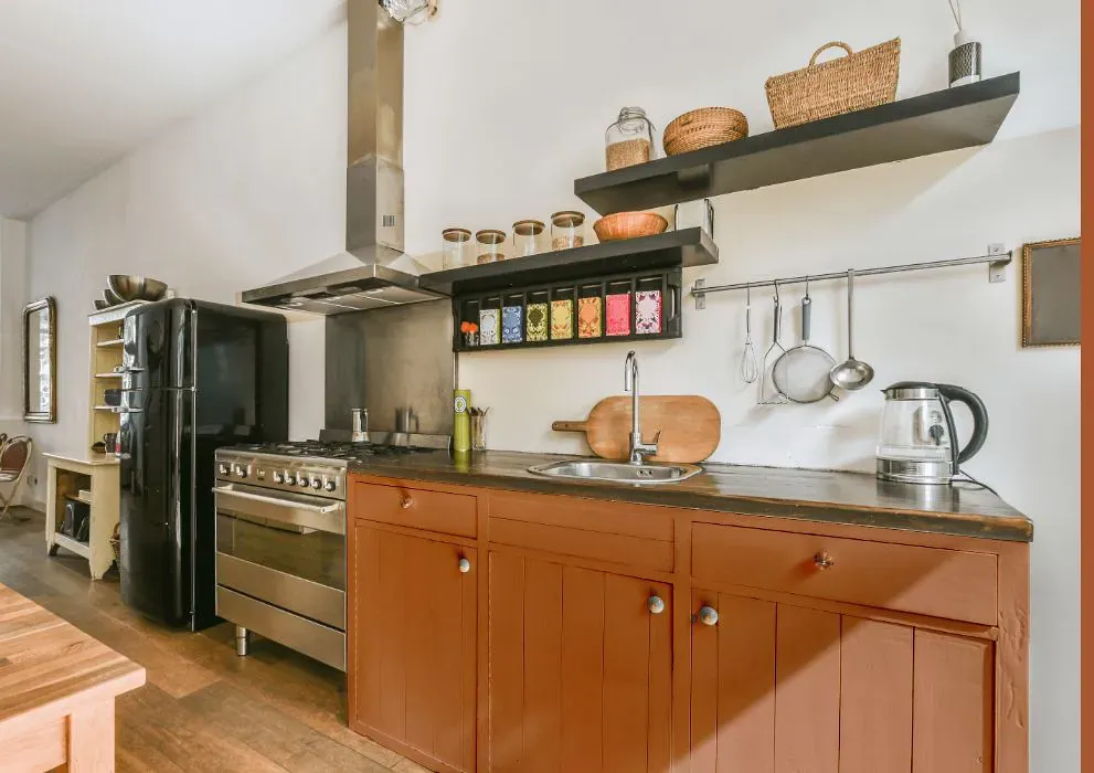 Sherwin Williams Armagnac kitchen cabinets