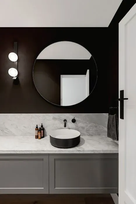 Sherwin Williams Armory minimalist bathroom