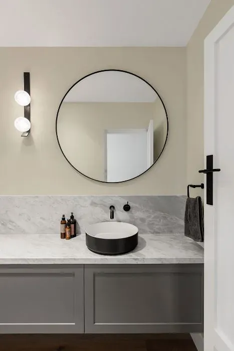 Sherwin Williams Arrowroote minimalist bathroom