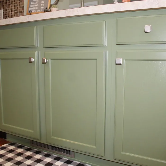 Sw Artichoke Kitchen Cabinets