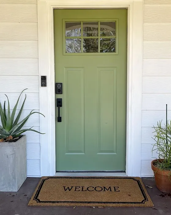 Green door painted with Sherwin Williams Artichoke 6179