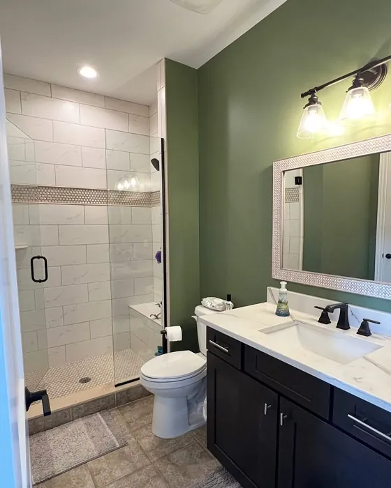 Sherwin Williams SW 6179 bathroom color