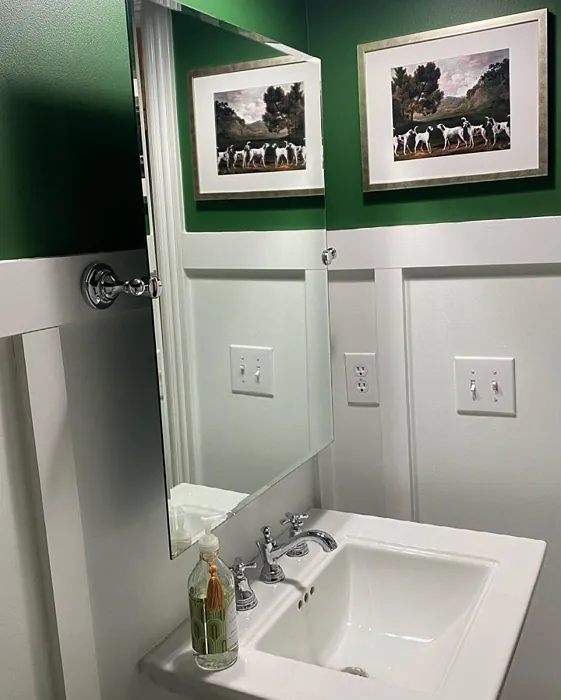 Arugula Bathroom