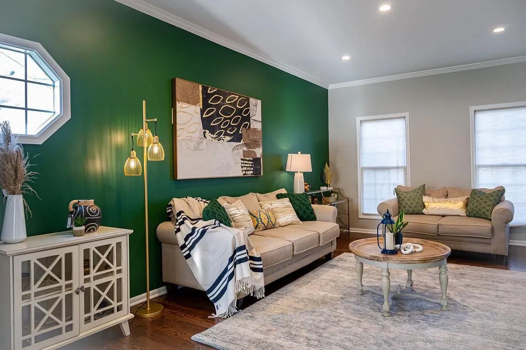 Arugula Accent Wall