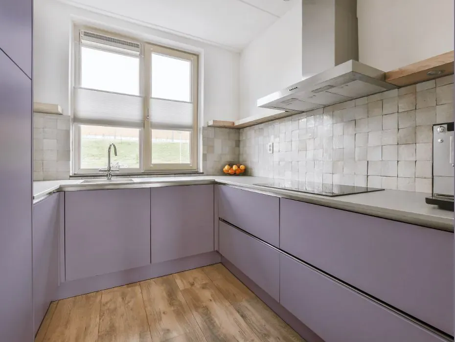 Sherwin Williams Ash Violet small kitchen cabinets