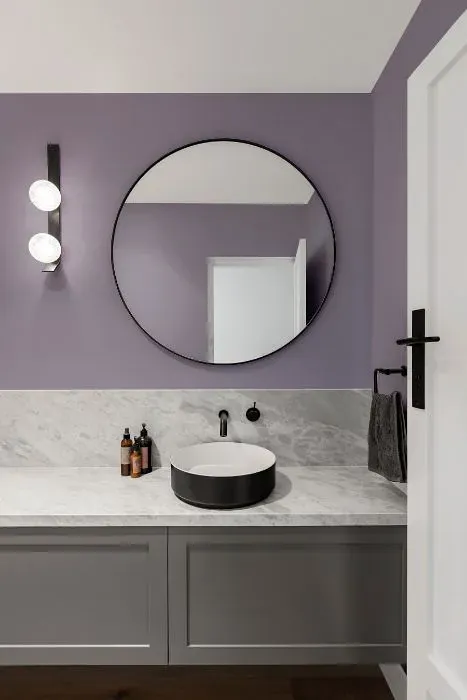 Sherwin Williams Ash Violet minimalist bathroom