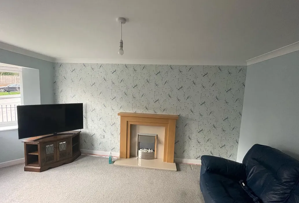 Dulux Atmosphere living room color review