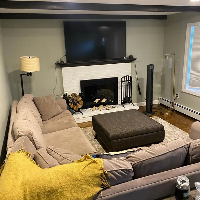 Sw Austere Gray Living Room