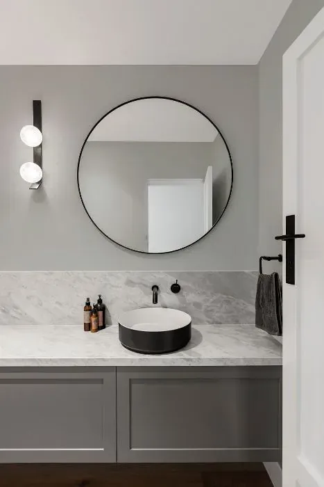 Sherwin Williams Autonomous minimalist bathroom